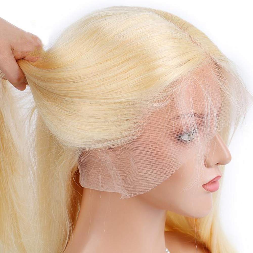 613 Full Lace Straight Hair Wig